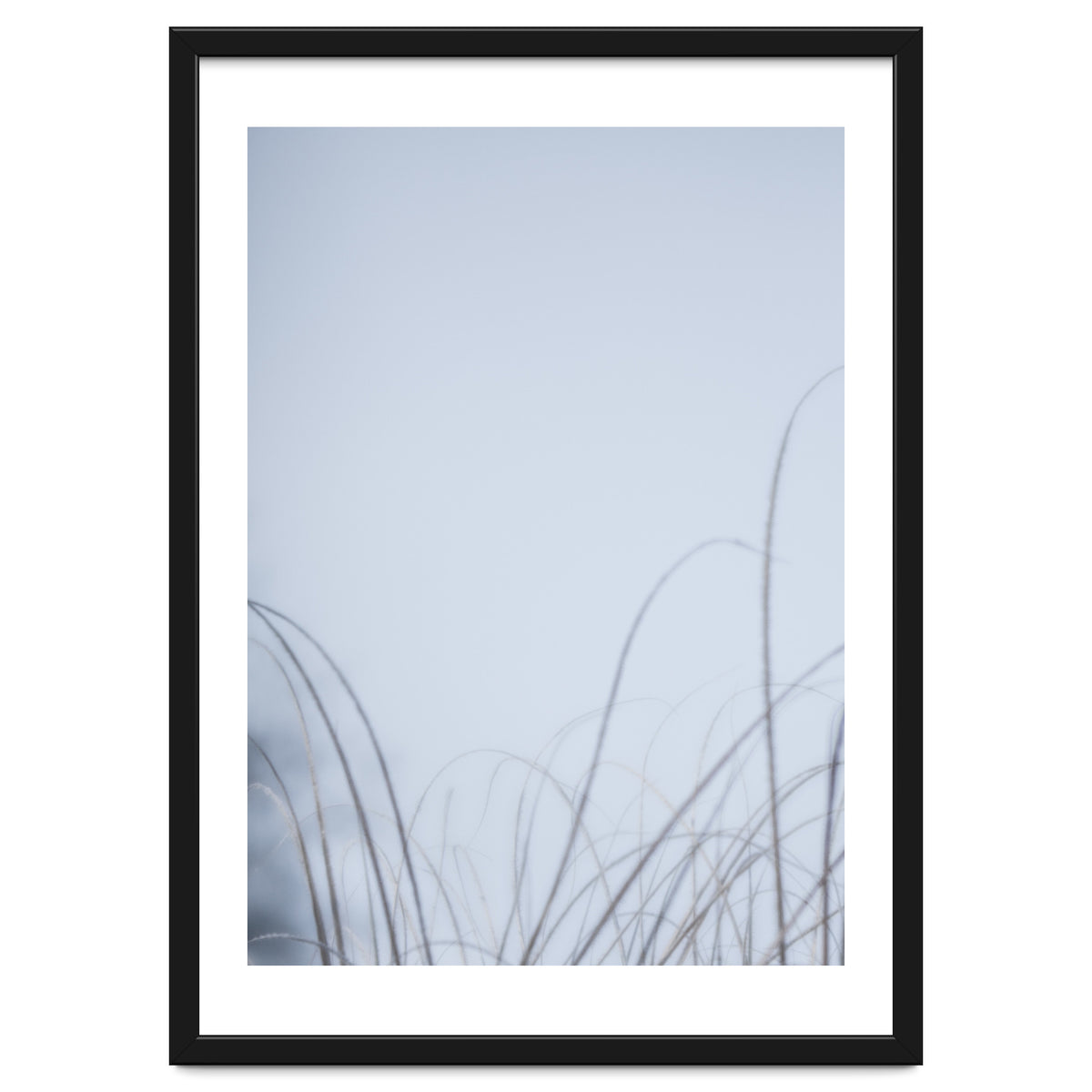 Forgotten Memories of Summer #20