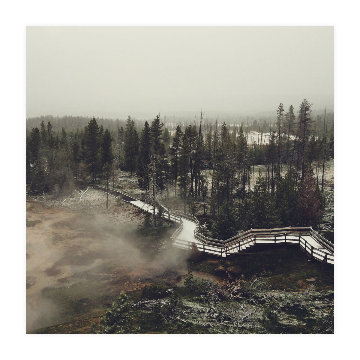 Artists Paint Pots (Print Only)