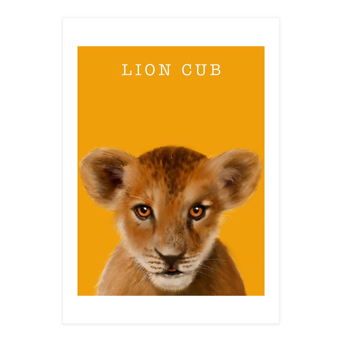 Lion Cub (Print Only)
