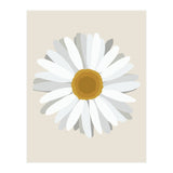 Daisy (Print Only) thumbnail