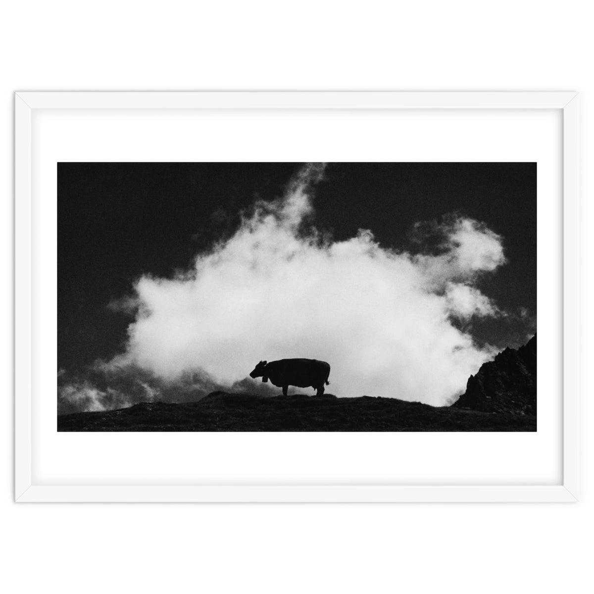 cow and cloud