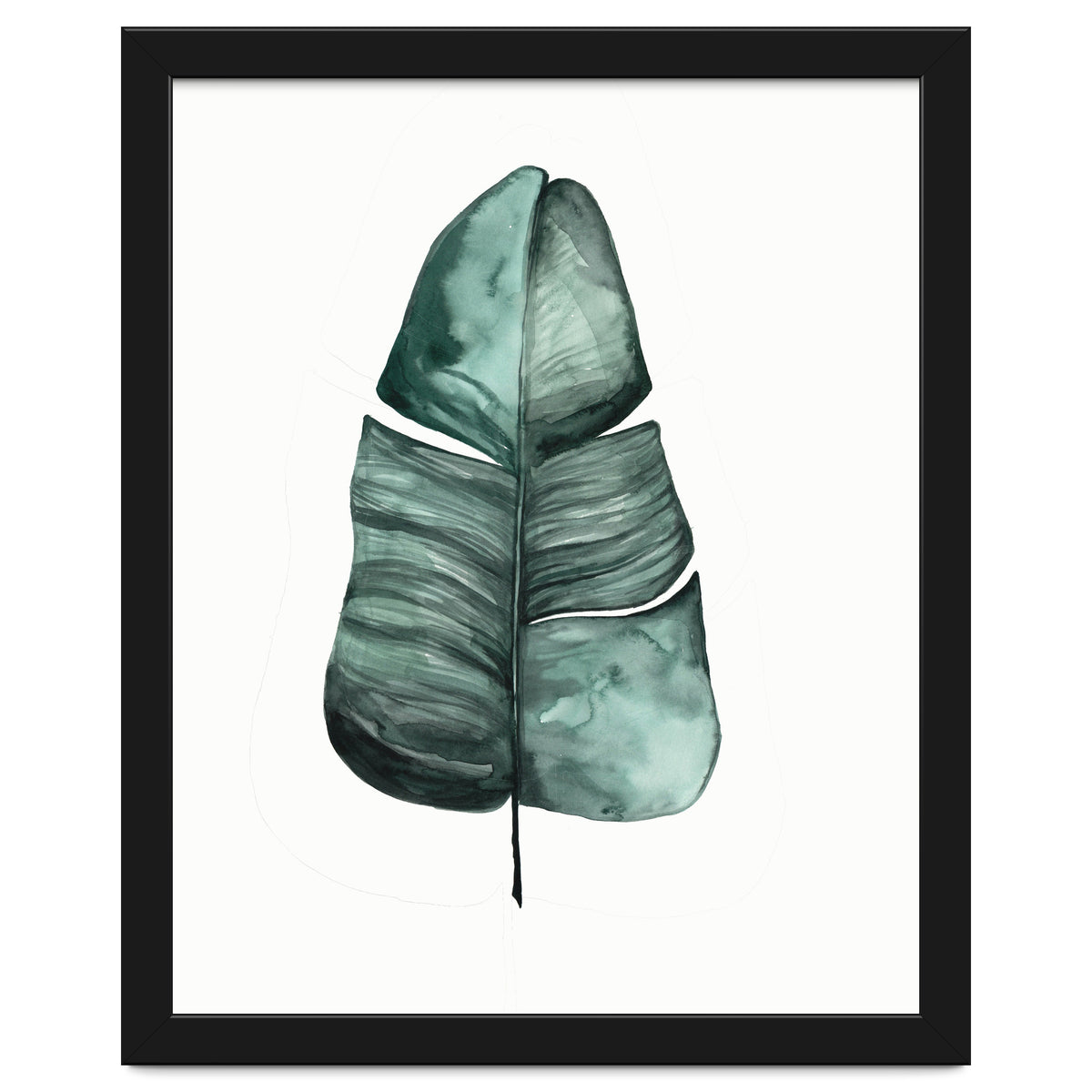 Botanical Illustration Banana Leaf