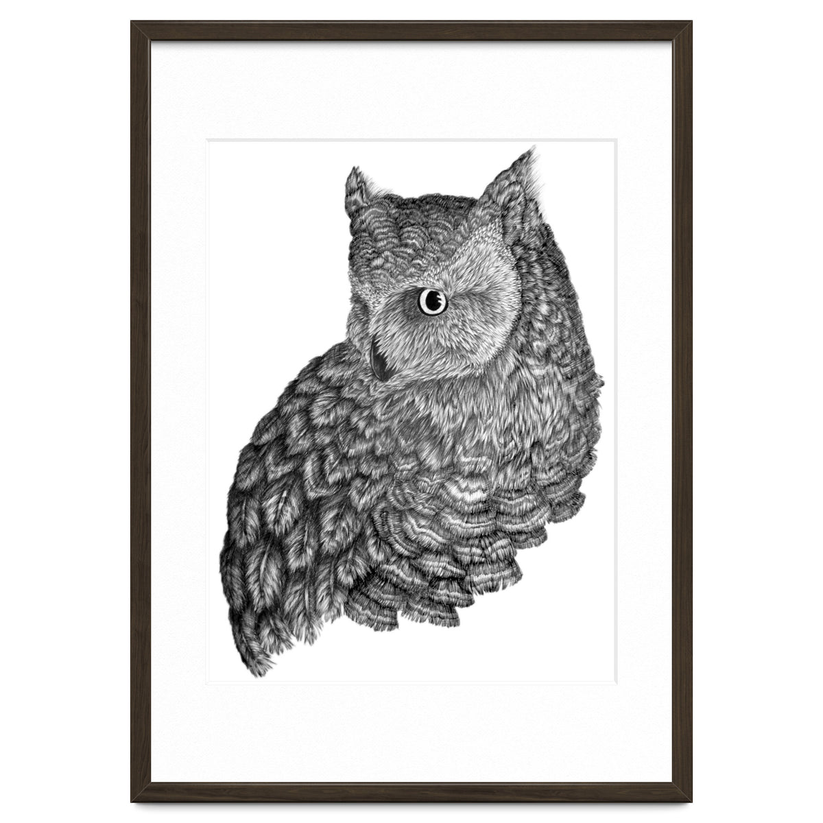 A Friend For Forsythe