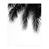 Palm leaves (Print Only) thumbnail