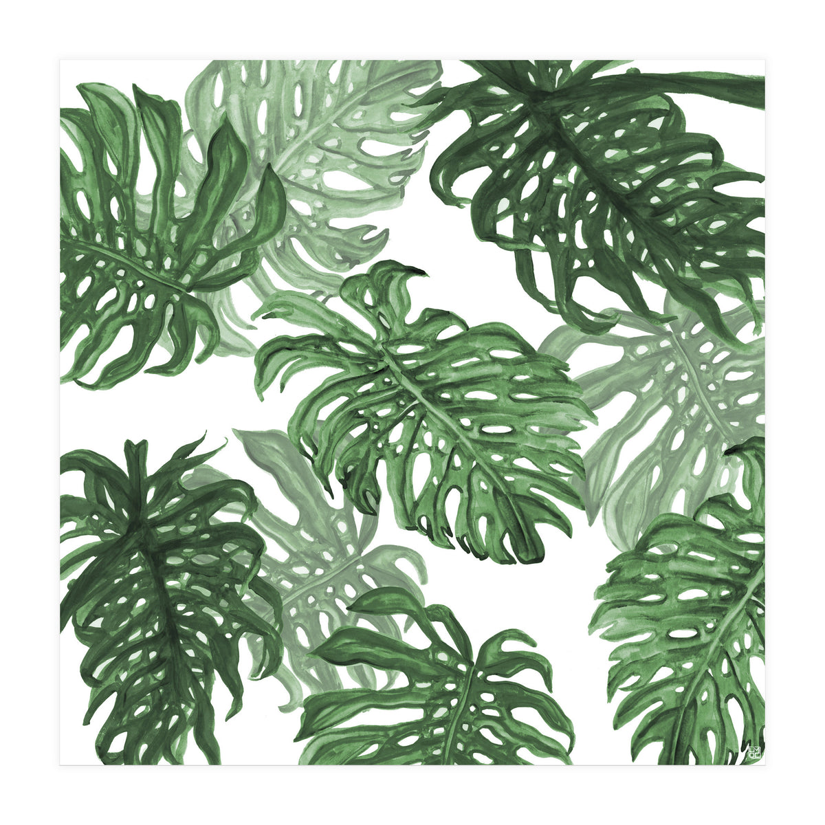 Monstera Deliciosa (Print Only)