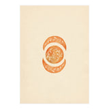 Botanical moon shapes (Print Only) thumbnail