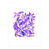Ultraviolet Nature (Print Only) thumbnail