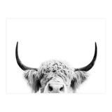 Peeking cow BW (Print Only) thumbnail