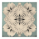 Ancient Calaabachti Filigrane (Print Only) thumbnail