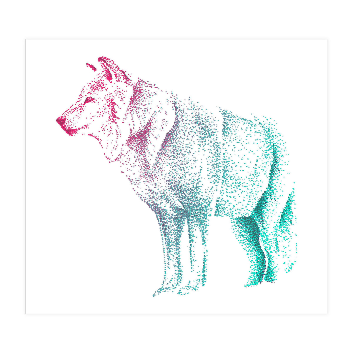 Wolf  (Print Only)
