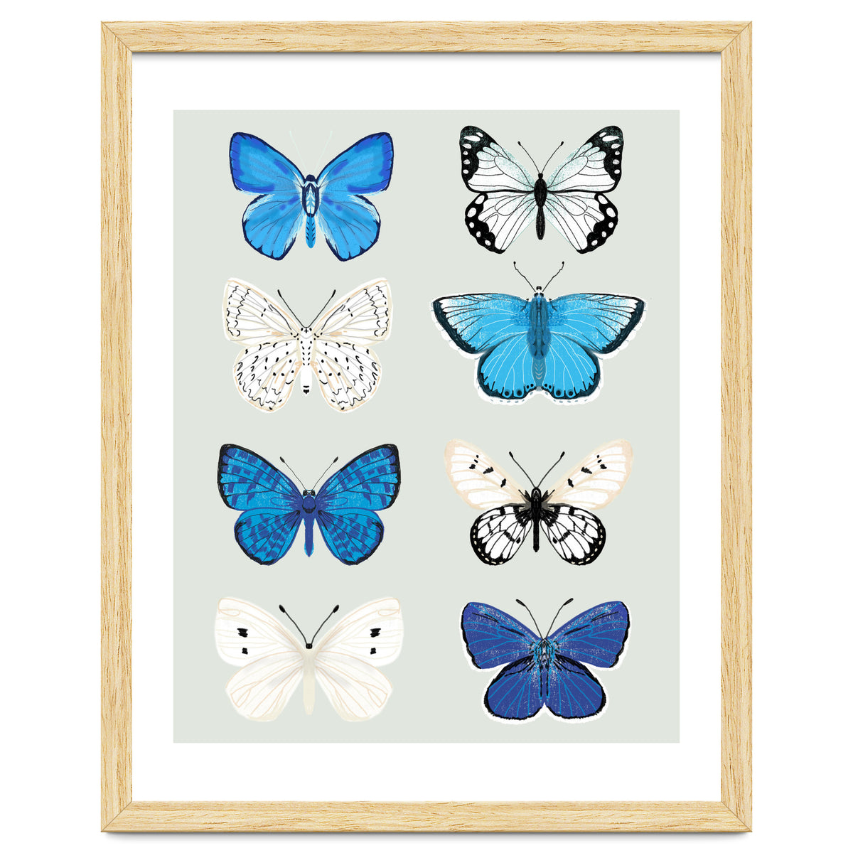 Lepidoptery Study No. 3