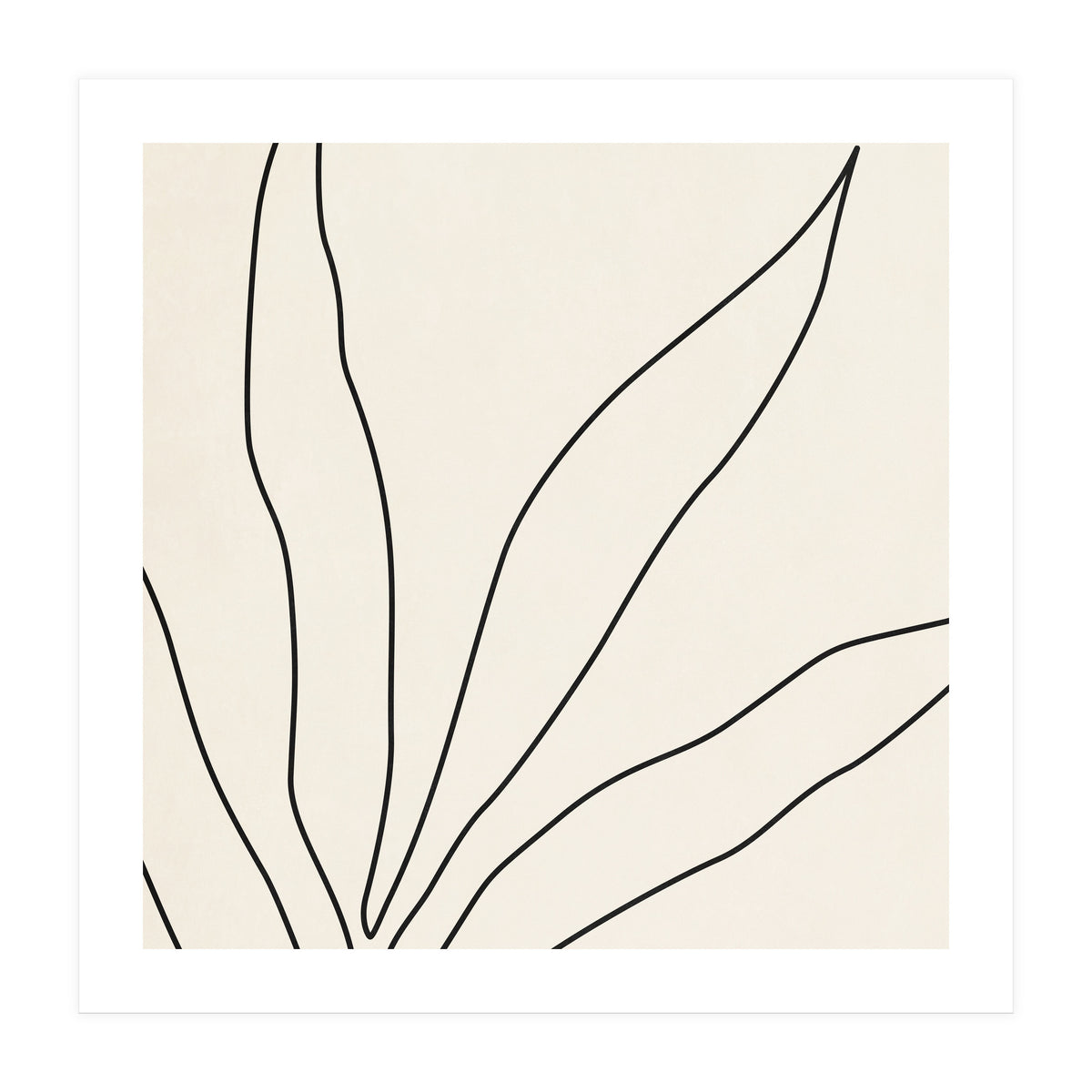 LEAF IN LINE 02 (Print Only)