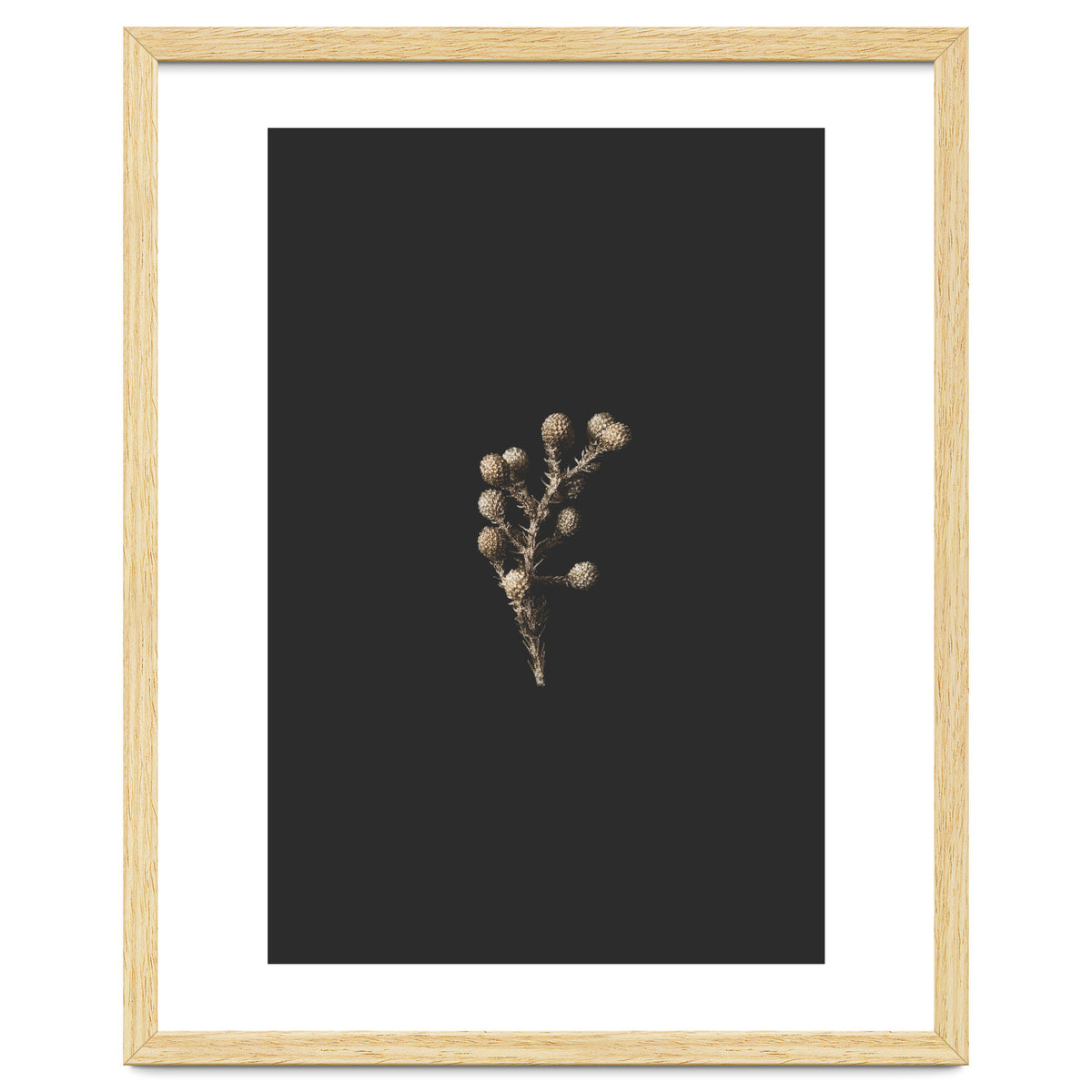 Gold Drops Botanicals