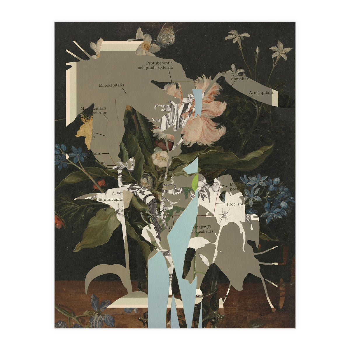 The First Plant · D2 (Print Only)