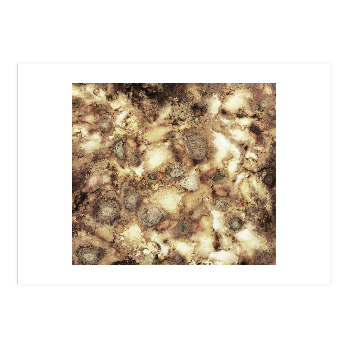 The Hard Crash (Print Only)