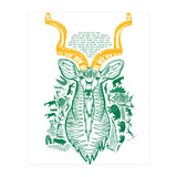Kudu (Print Only) thumbnail
