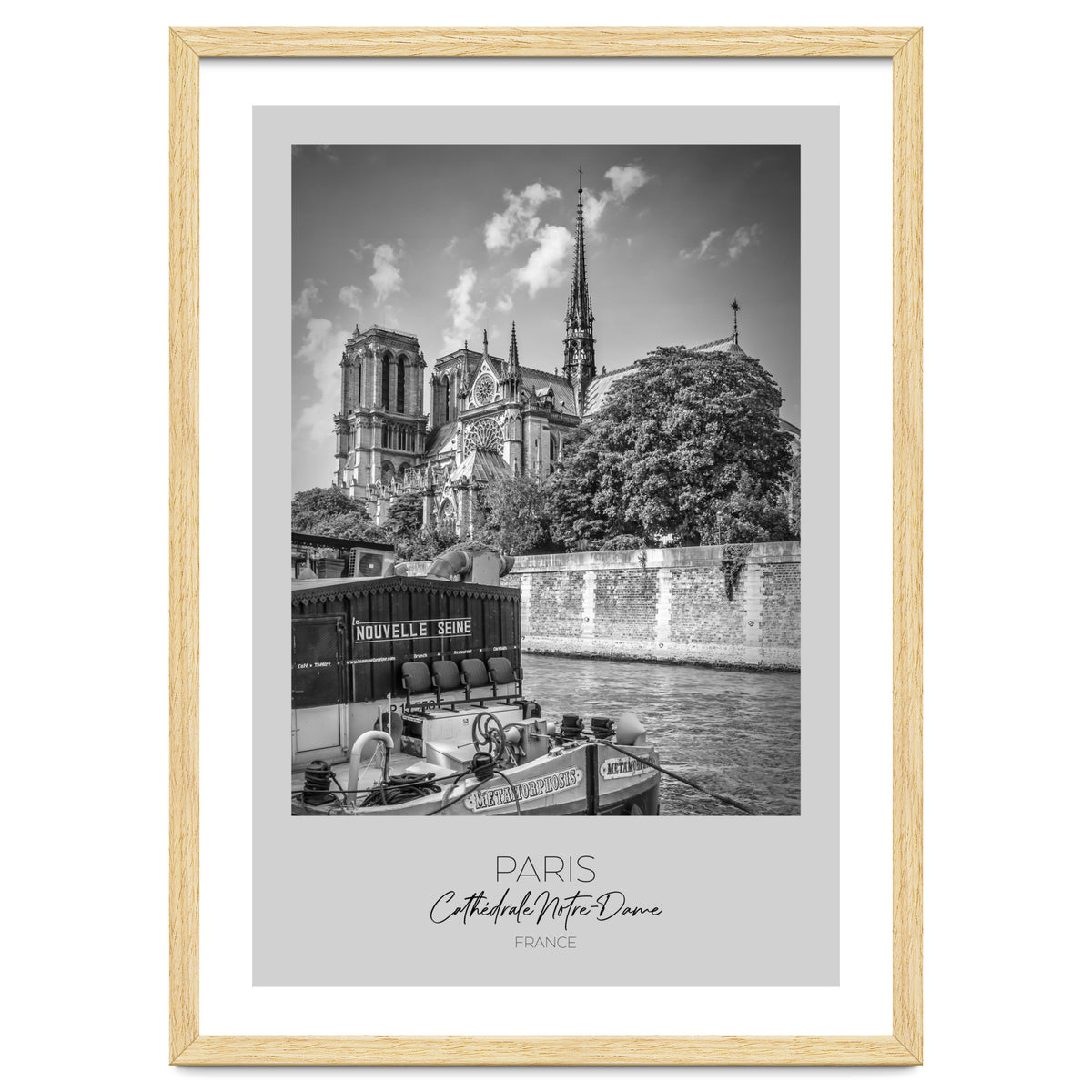 In focus: PARIS Cathedral Notre-Dame