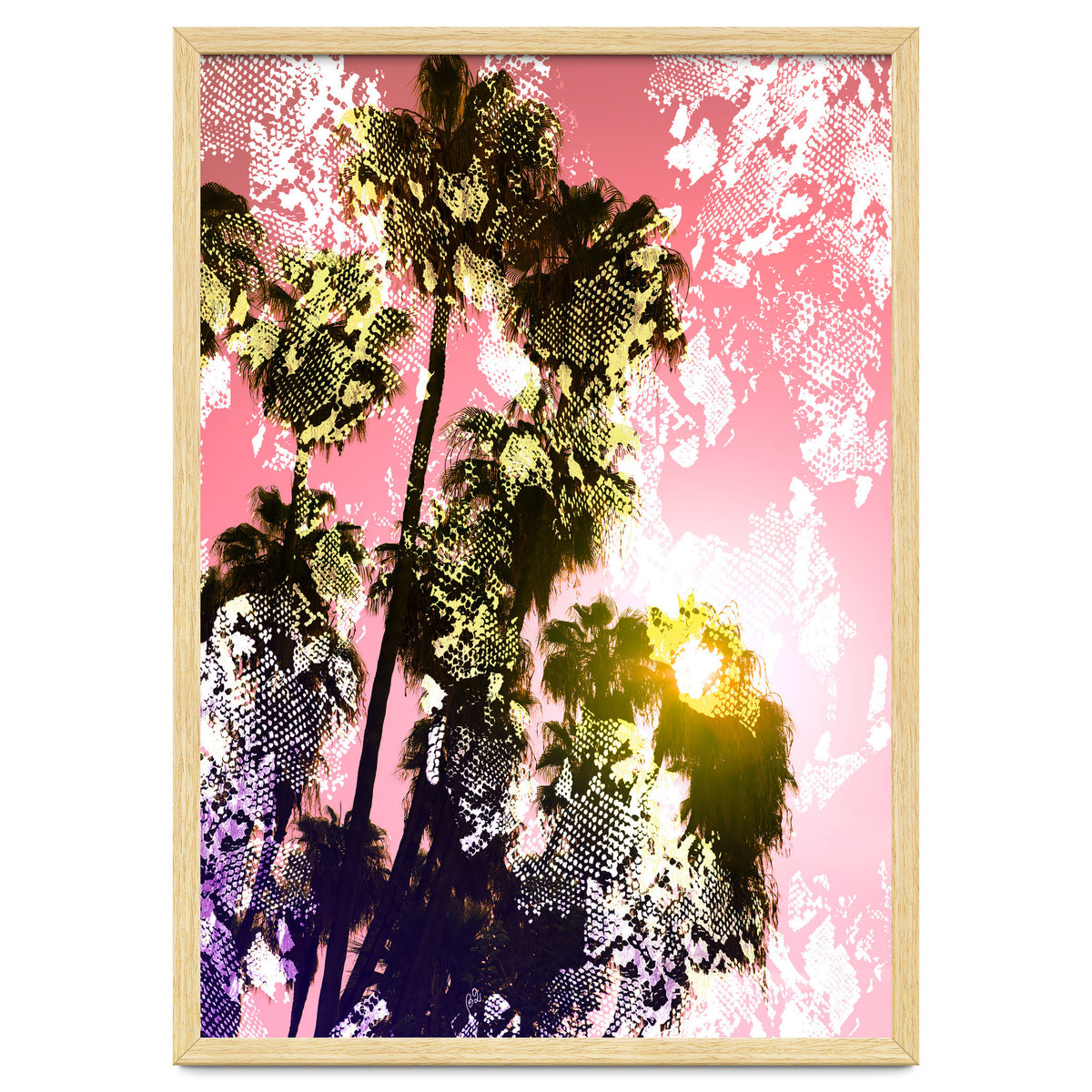 Snake sunset in paradise