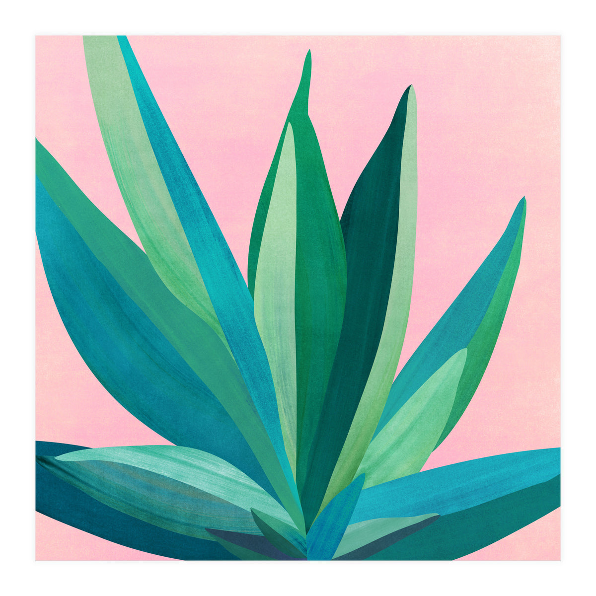 Southwest Agave (Print Only)
