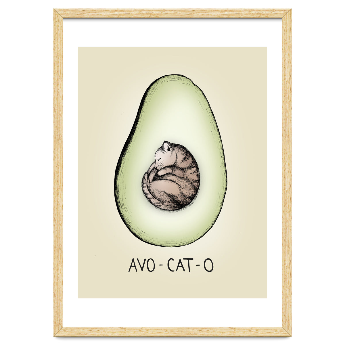 Avo-cat-o