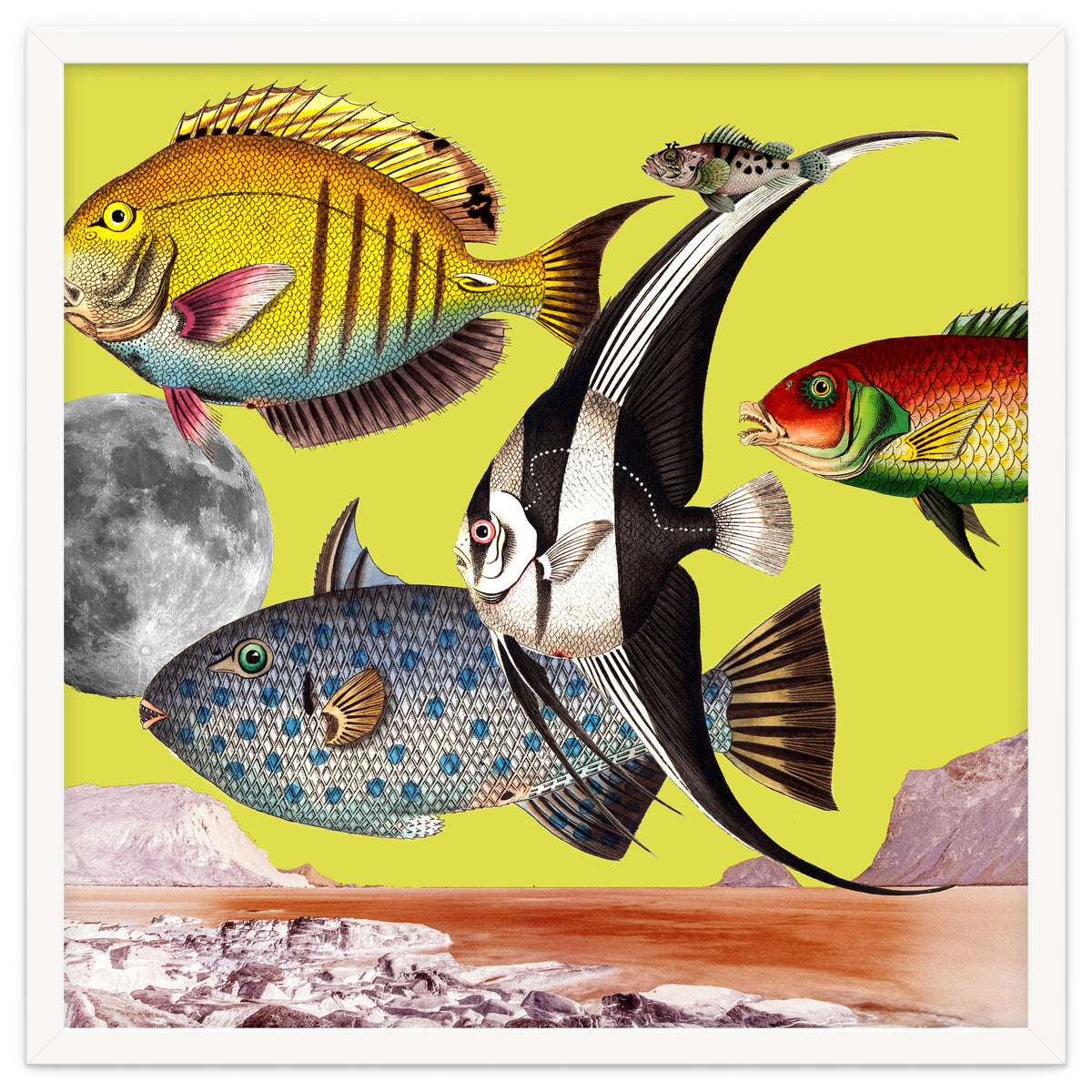 Plenty Of Fish In The Sea Yellow