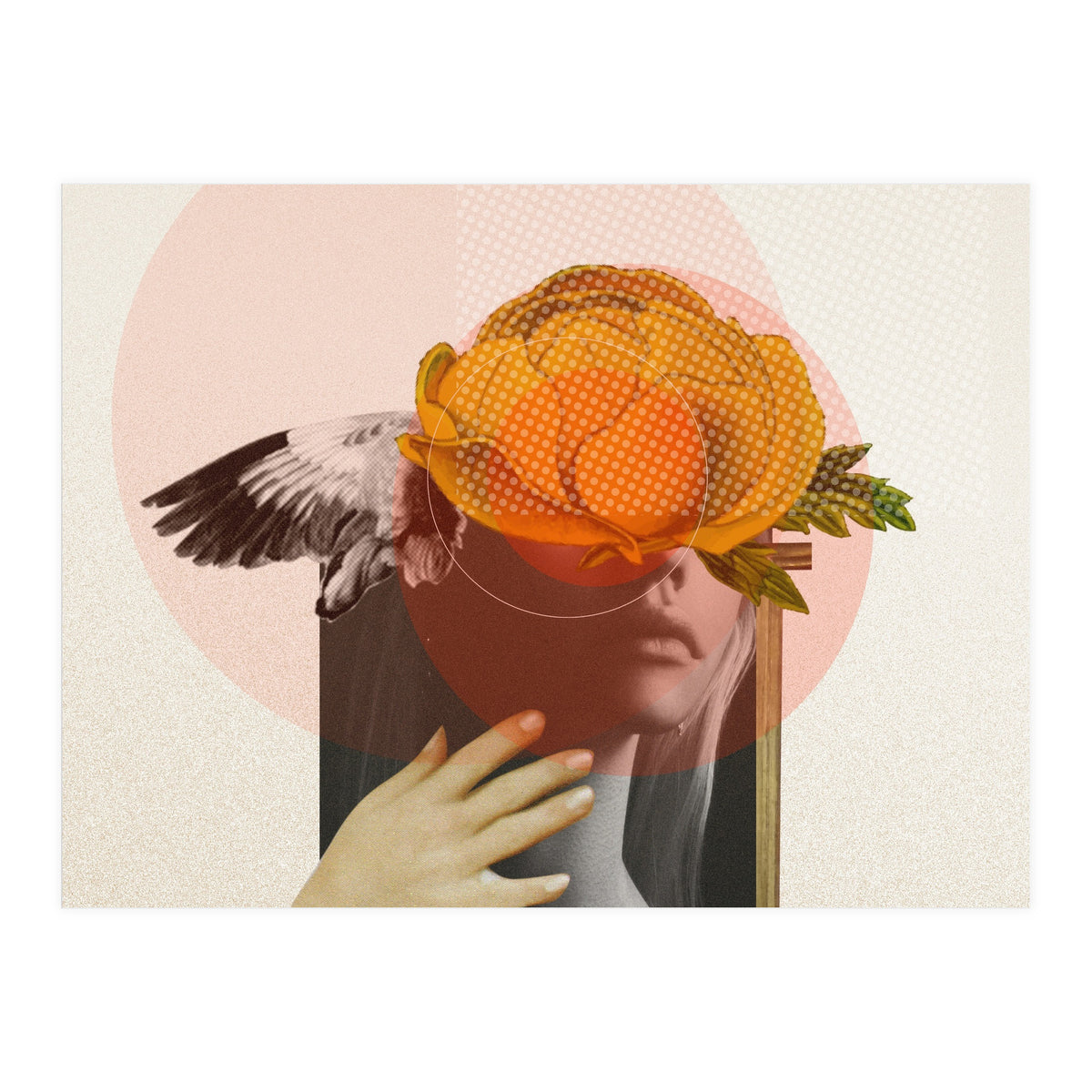 Dreamland Division · C (Print Only)