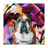 Zycko Color Dog 3 (Print Only) thumbnail