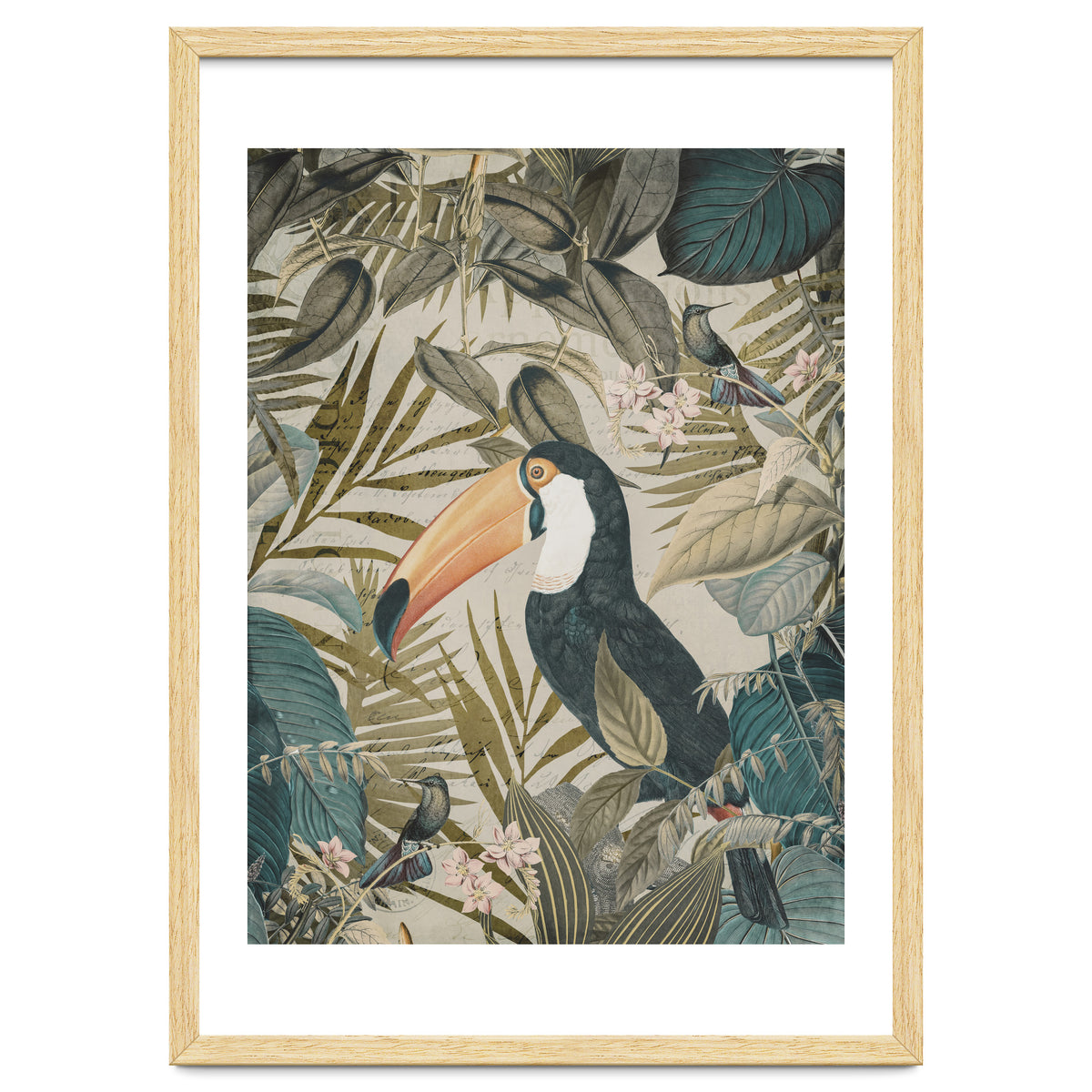 Jungle Toucan