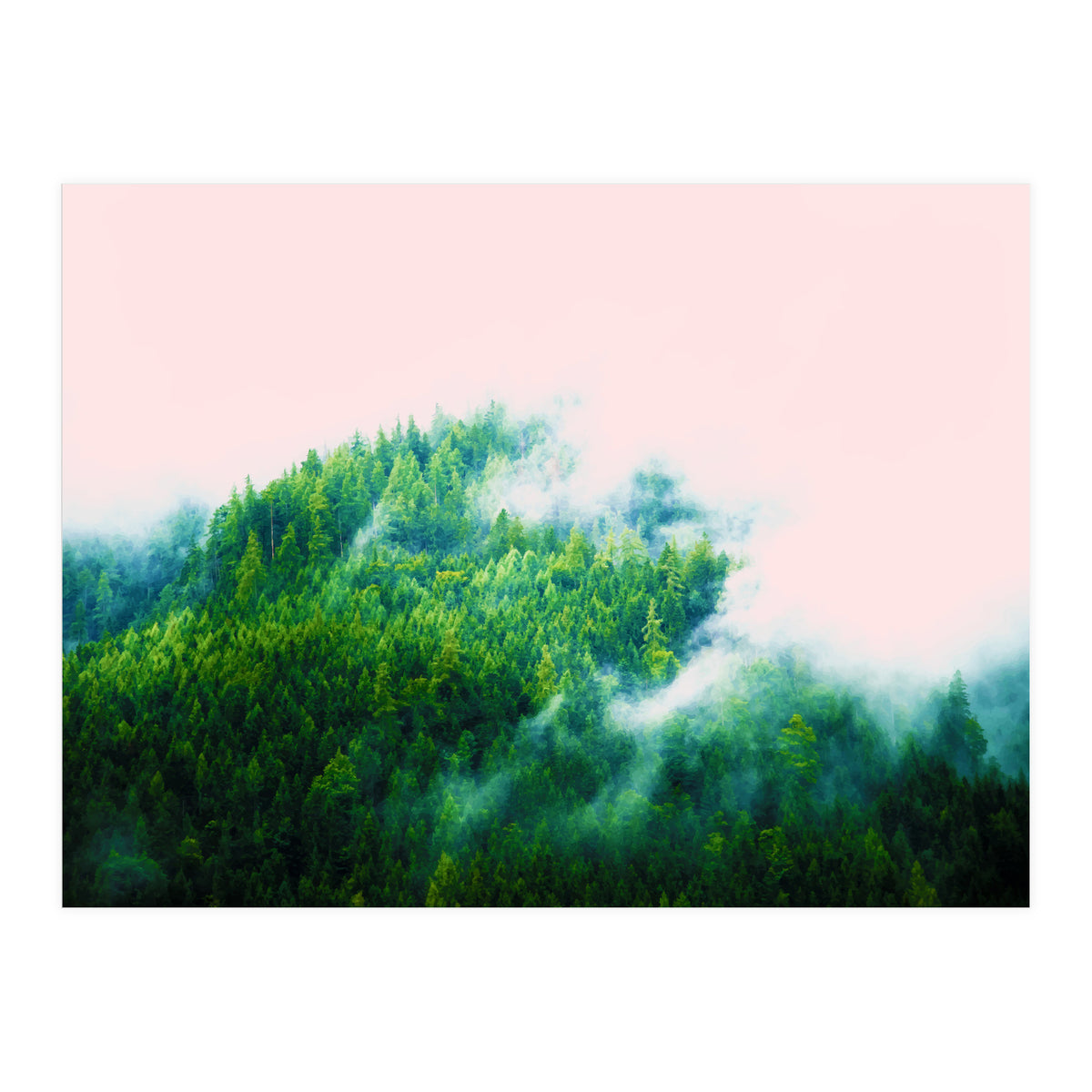 Into The Fog (Print Only)