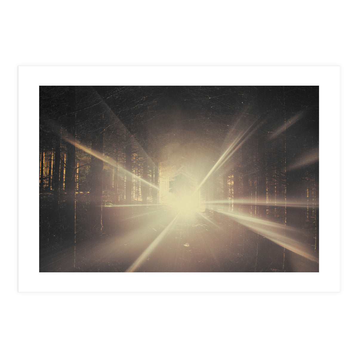 Why is Summer Mist Romantic and Autumn Mist just Sad? (Print Only)