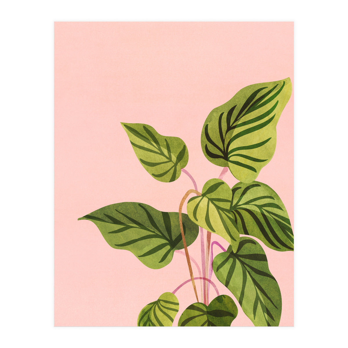 Tropical Rising (Print Only)