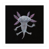 Axolotl (Print Only) thumbnail