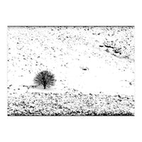 Somewhere There Is A Field, White And Quiet, Where A Tree Like This One Stands (Print Only)