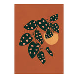 Monstera Adansonii (Print Only) thumbnail
