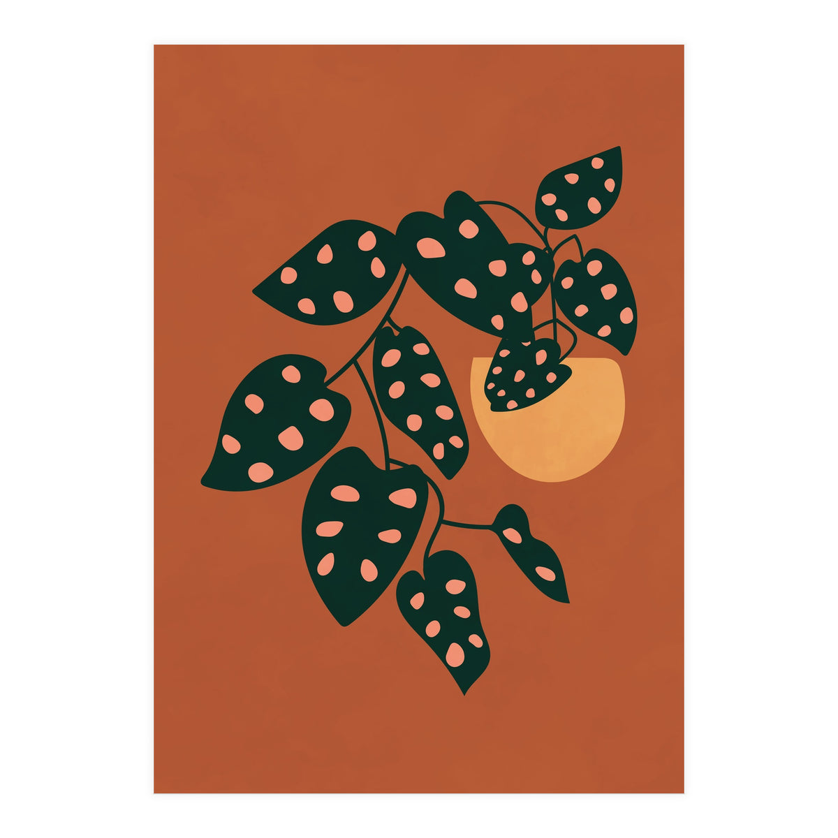 Monstera Adansonii (Print Only)