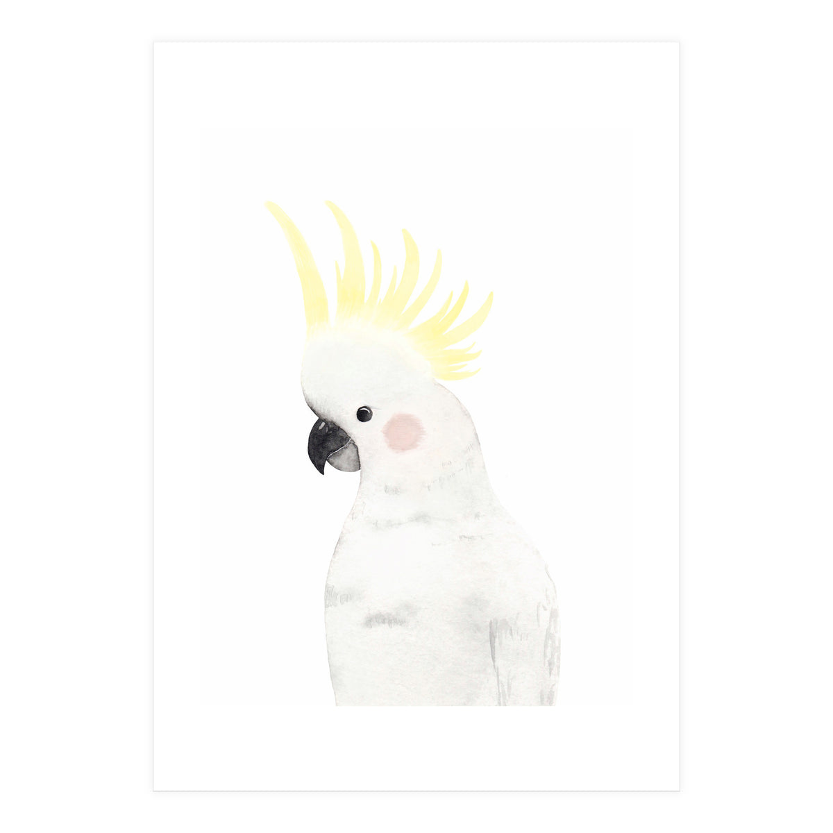 Sweet Cockatoo (Print Only)