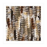 Owl Feathers (Print Only) thumbnail