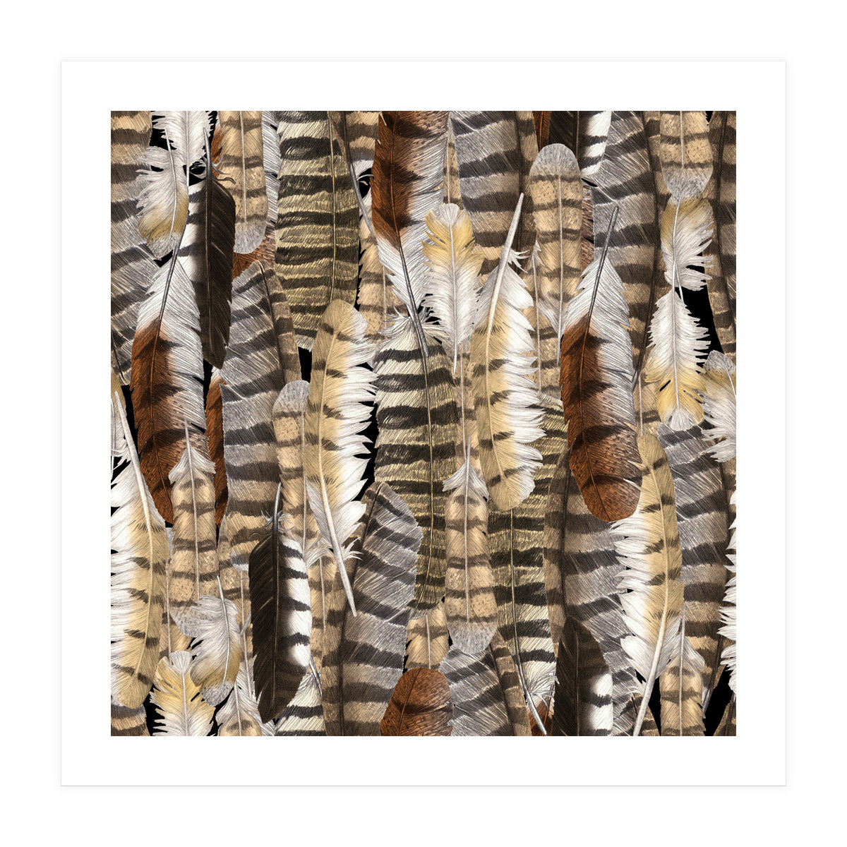 Owl Feathers (Print Only)