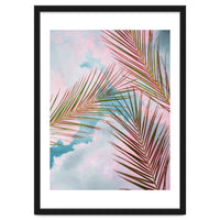 Palms + Sky