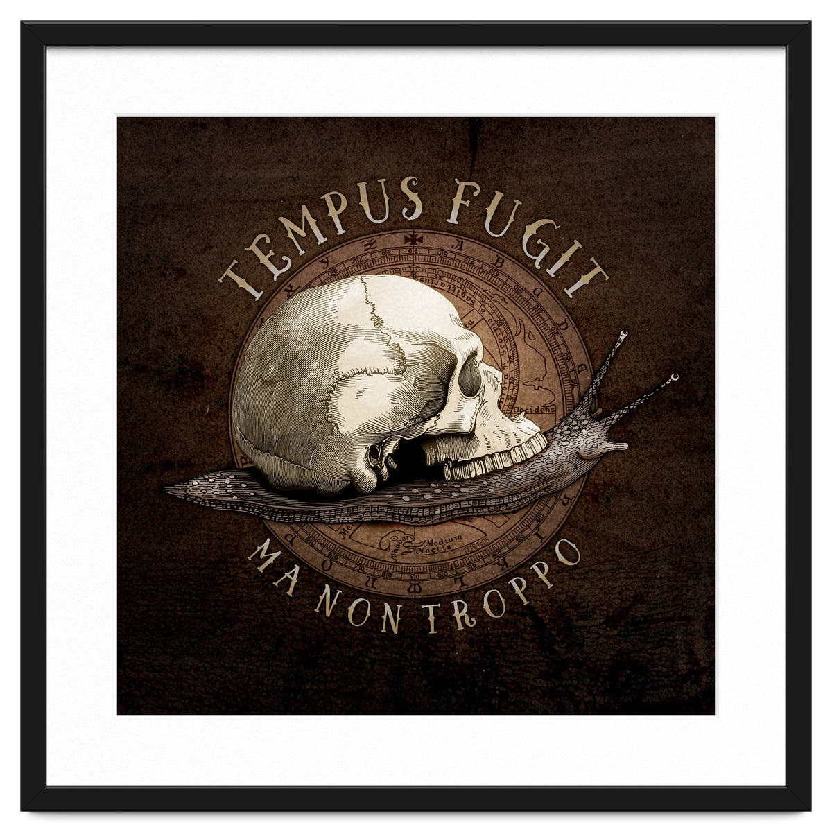 Tempus Fugit (ma non troppo)