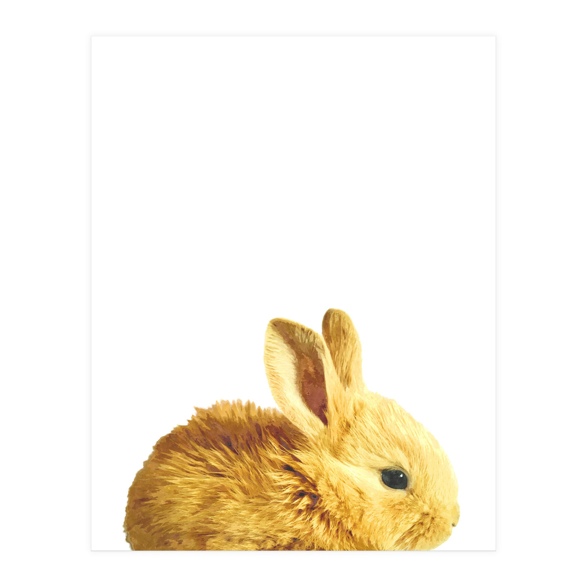 Bunny Portrait (Print Only)