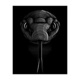 Snake lines (Print Only) thumbnail