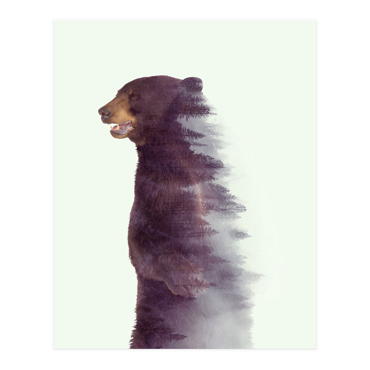 Awakening (Print Only)