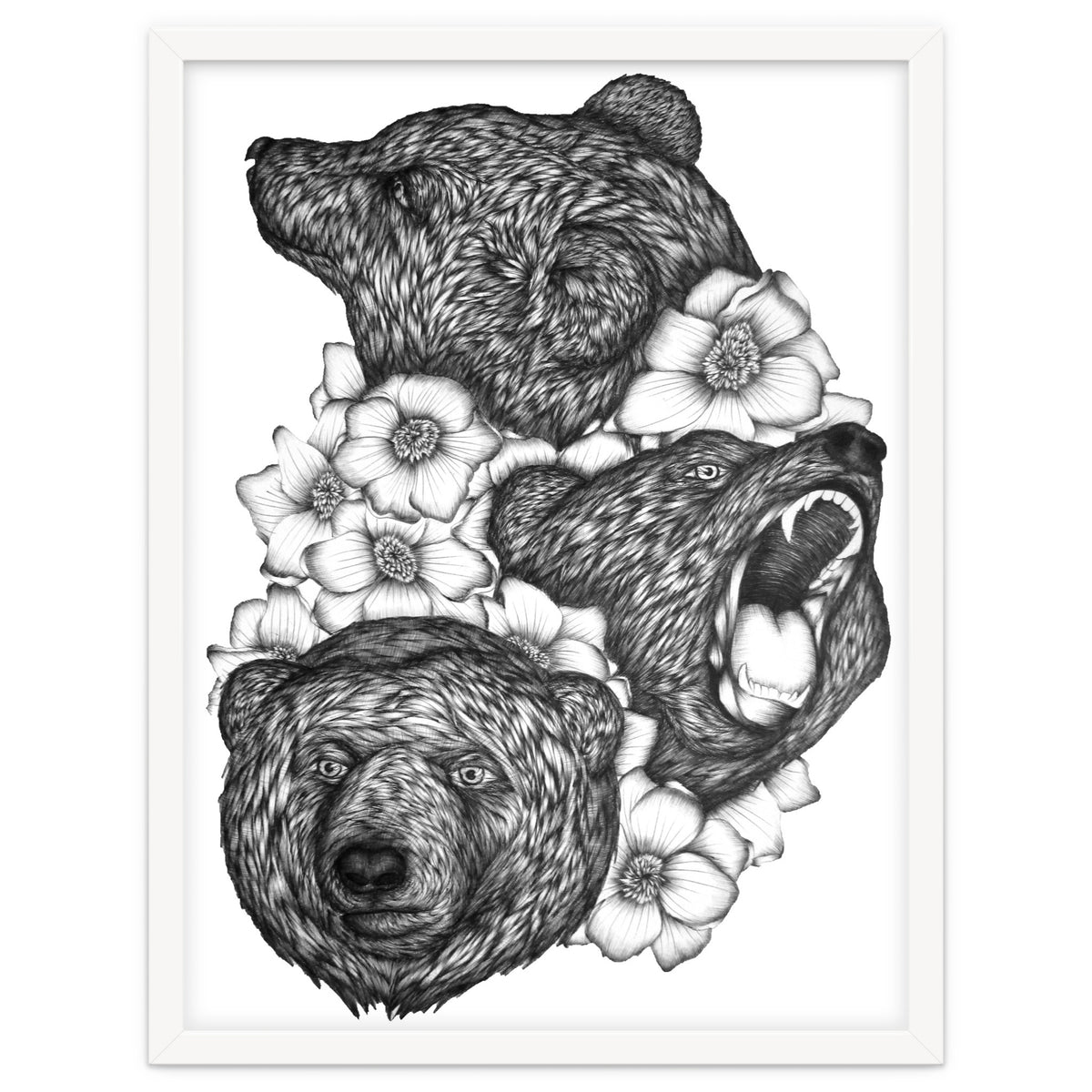 Bears In Bears
