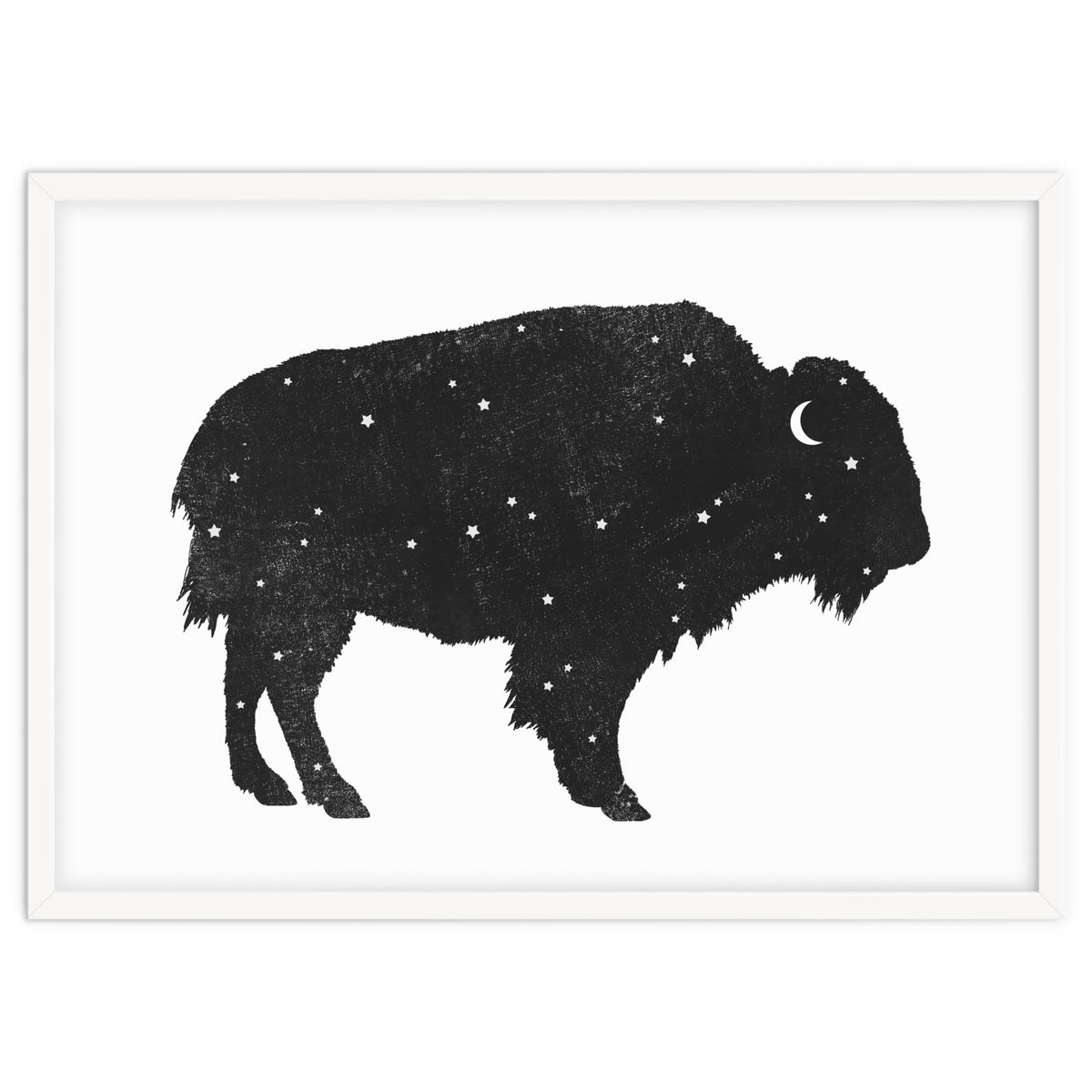 Mystic Buffalo