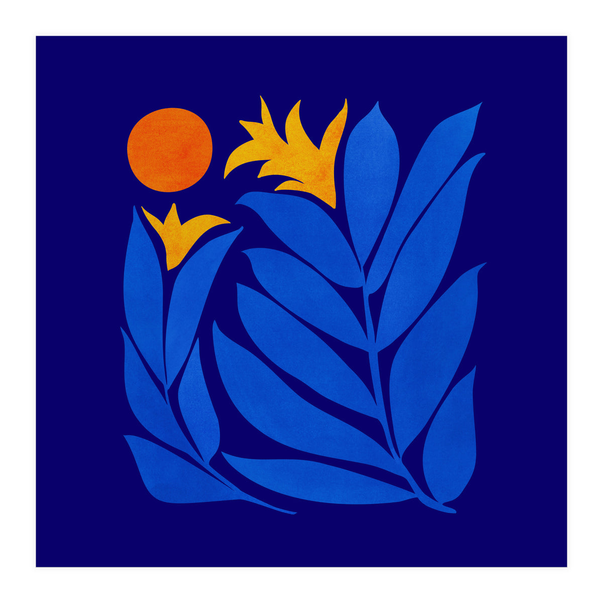 Community Garden At Night (Print Only)