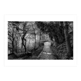 Monochrome path (Print Only) thumbnail
