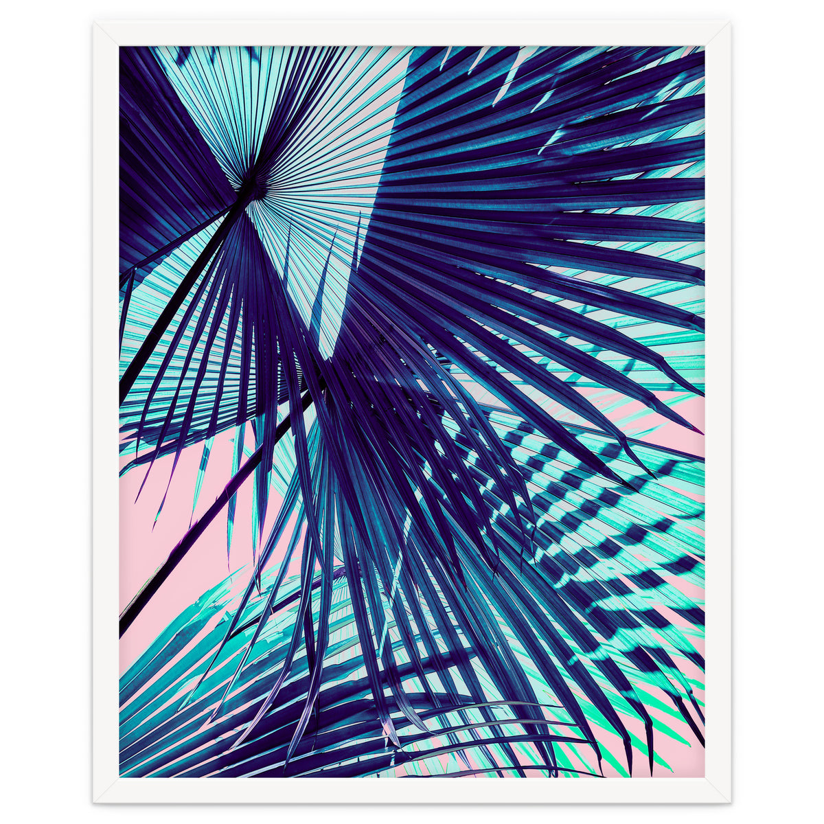 Palm leaf on the beach