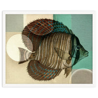 Fish Between Circles 4