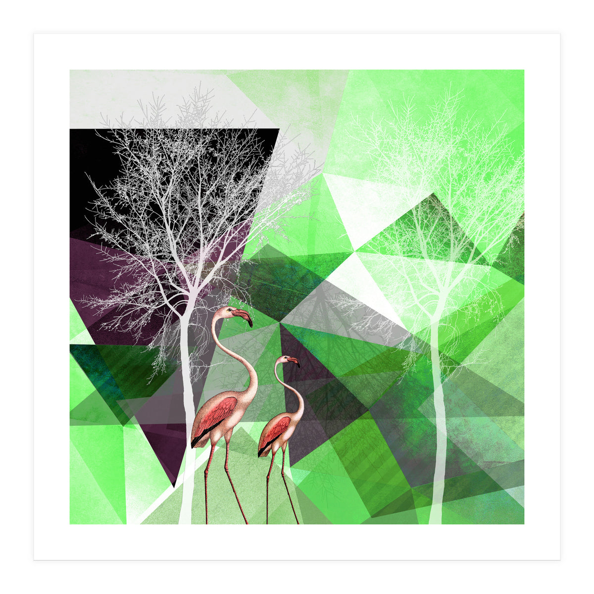 FLAMINGOS P21  (Print Only)